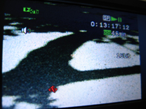 Interview beim Lueger-Platz (25. Mai 2009)